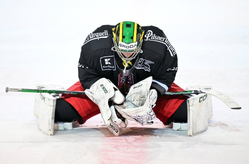 Bylo to úžasné, radoval se brankář Málek po premiéře, a chválil spoluhráče