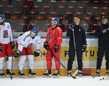 Flek se těší do Tampere, ožijí mu vzpomínky na bronz z loňského MS