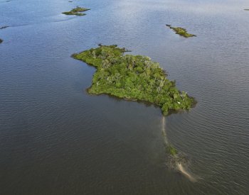 Podvodníci v USA z covidové pomoci kupovali šperky, auta i soukromý ostrov