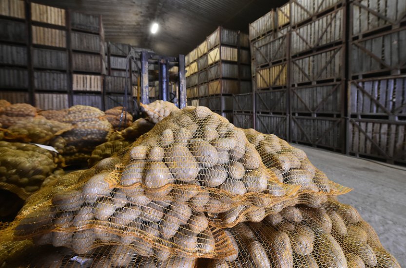 Výnosy brambor v ČR jsou nižší kvůli suchu, prodávají se dráž než před rokem