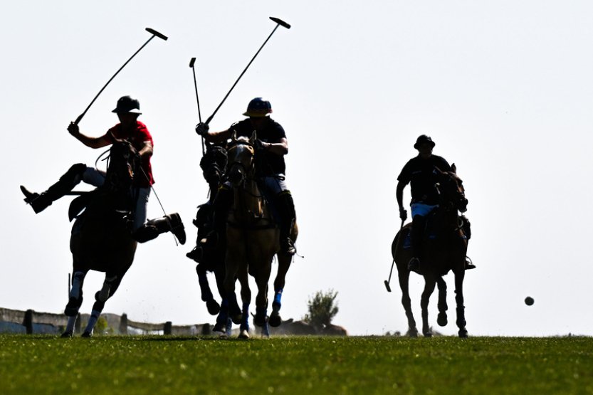 Koňské pólo v královském stylu se hrálo v Březině na Brněnsku