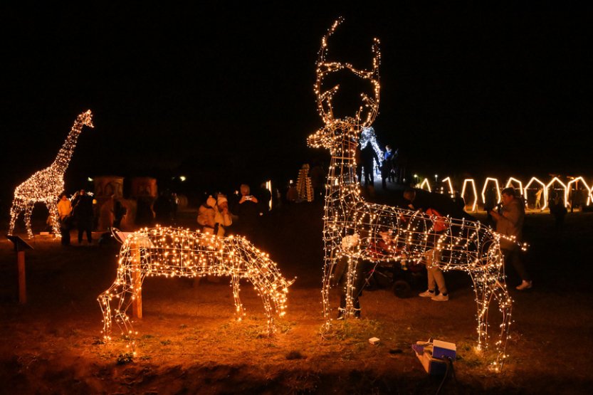 Světelná zoo v Drnholci na Břeclavsku má 15 soch zvířat, bude se rozrůstat