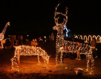Světelná zoo v Drnholci na Břeclavsku má 15 soch zvířat, bude se rozrůstat