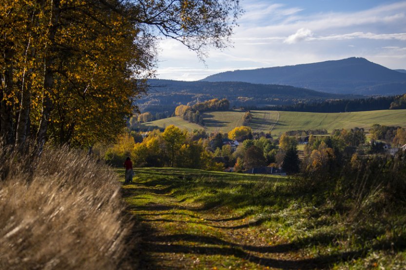Globální teplota asi poprvé přesáhla o dva stupně předindustriální průměr