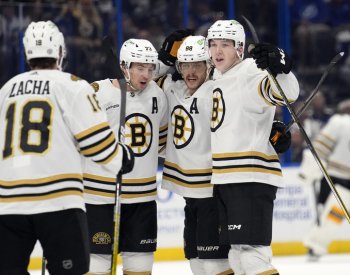 Góly Pastrňáka se Zachou Bostonu v NHL k výhře nestačily, skóroval i Hertl