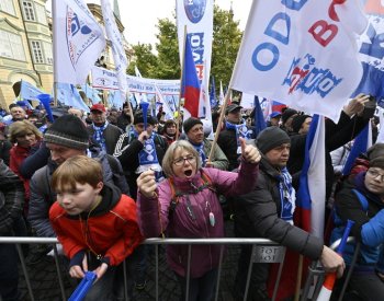 Vláda by měla okamžitě odstoupit, uvedl Babiš k dnešním protestům
