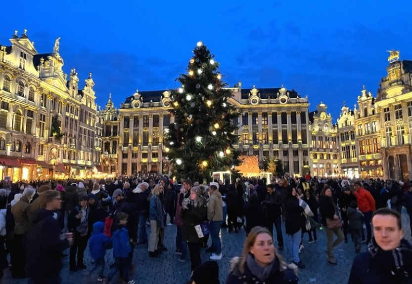 V Bruselu se otevřel vánoční trh, návštěvníky lákají světelná show i kolotoče