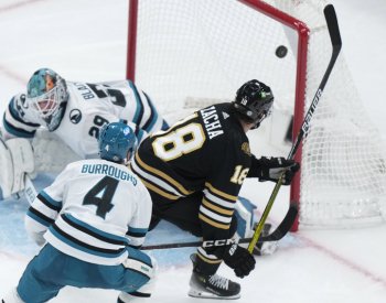 Zacha a Pastrňák dvěma body řídili výhru Bostonu, gólman Pittsburghu dal gól