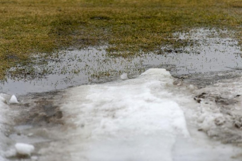 Sobotní zápas fotbalové ligy mezi Budějovicemi a Hradcem byl po sněžení odložen
