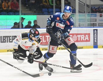 Kladno porazilo Litvínov a ukončilo sérii osmi porážek