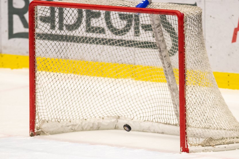 Lev po sladkém vítězství v Hradci: Máme na to být v tabulce výš