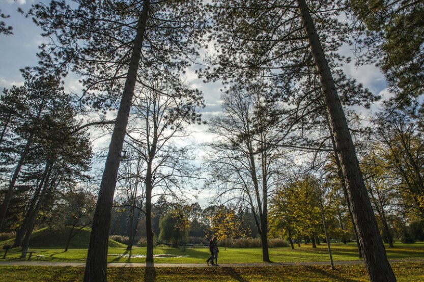 Listopad byl nejteplejší v historii, rekordní bude i rok 2023, uvedl Copernicus