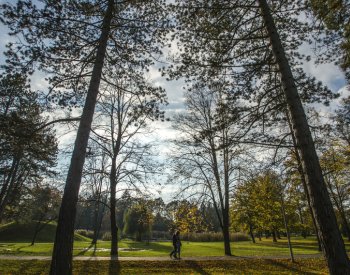 Listopad byl nejteplejší v historii, rekordní bude i rok 2023, uvedl Copernicus