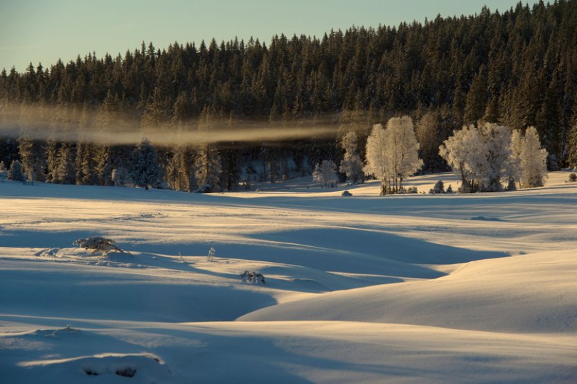 V pátek brzy ráno začne astronomická zima, dny se začnou prodlužovat