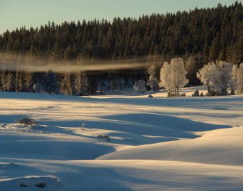 V pátek brzy ráno začne astronomická zima, dny se začnou prodlužovat