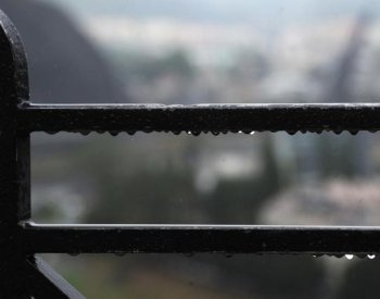 Výzkum: Dešťovou vodu zachytává 90 procent domácností, hlavně kvůli úspoře