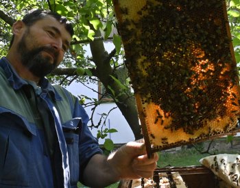 Na včelí farmě v Kostelní Myslové mohou zájemci pobýt i v domku se včelami