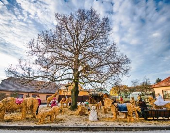 V Pozořicích postavili už pojedenácté slámový betlém zapsaný v knize rekordů