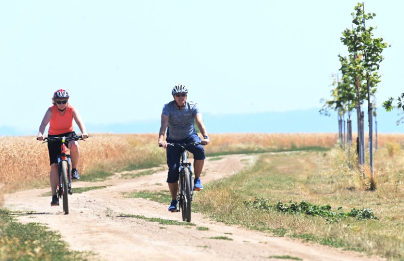 Vědec: Letošní sucho by se dalo označit za bleskové