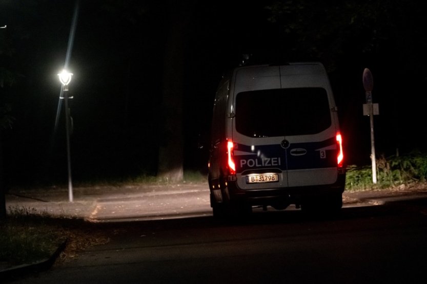 U Berlína se zřejmě žádná lvice nepohybuje, uvedla policie po analýze videa