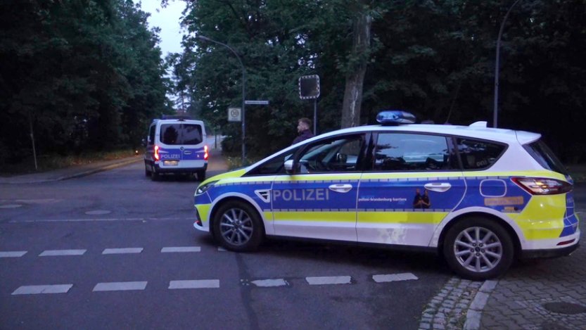 Policie na jihu Berlína pátrá po uprchlé kočkovité šelmě, zřejmě jde o lvici