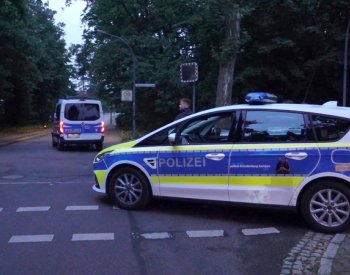Policie na jihu Berlína pátrá po uprchlé kočkovité šelmě, zřejmě jde o lvici