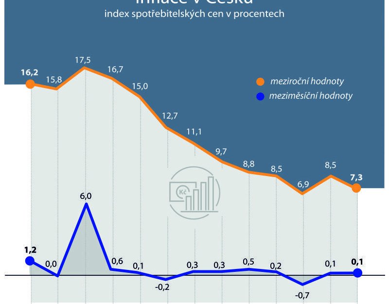 Experti: Inflace v ČR příští rok zeslábne, ekonomiku čeká mírné oživení