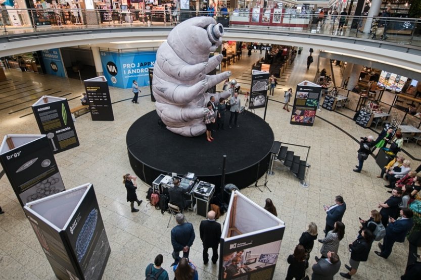 Výzkumníci z ústecké univerzity pomáhají odhalit tajemství odolných želvušek