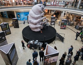 Výzkumníci z ústecké univerzity pomáhají odhalit tajemství odolných želvušek