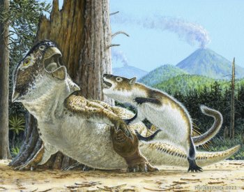 Zkamenělina nalezená v Číně zachycuje neobvyklý útok savce na dinosaura